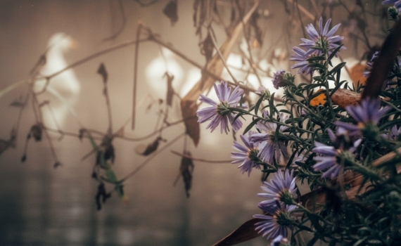 Ноябрь для этого знака зодиака станет поворотным моментом: крутое преображение после 20 числа Ноябрь для этого знака зодиака станет поворотным моментом: крутое преображение после 20 числа